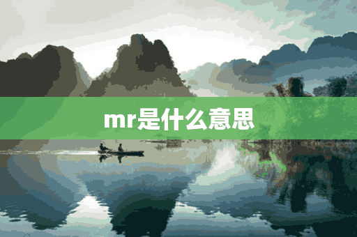 mr是什么意思